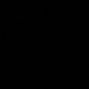 Meet your Posher, Sergio